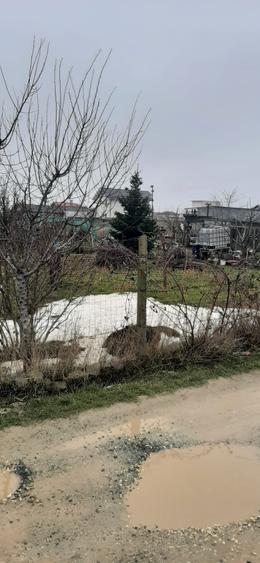 Teren agricol extravilan de 421 mp, în Exterior Sud