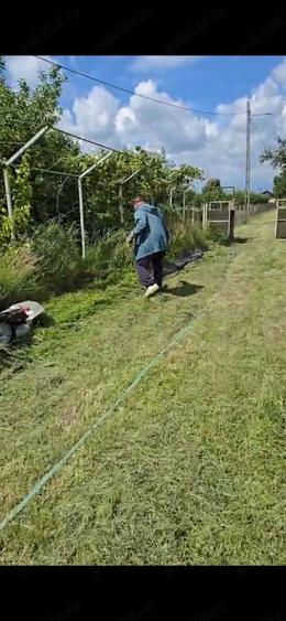 Casă cu 2 camere cu Teren 4200 Mp în Mozăceni