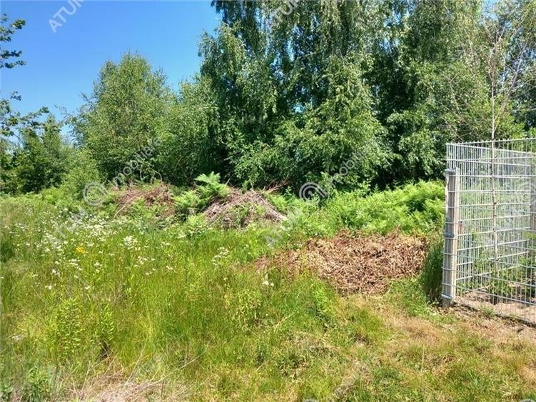 Teren Construcții intravilan de 500 mp, în Porumbacu de Sus
