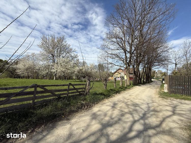 Teren de 1355 mp, în Tohănița