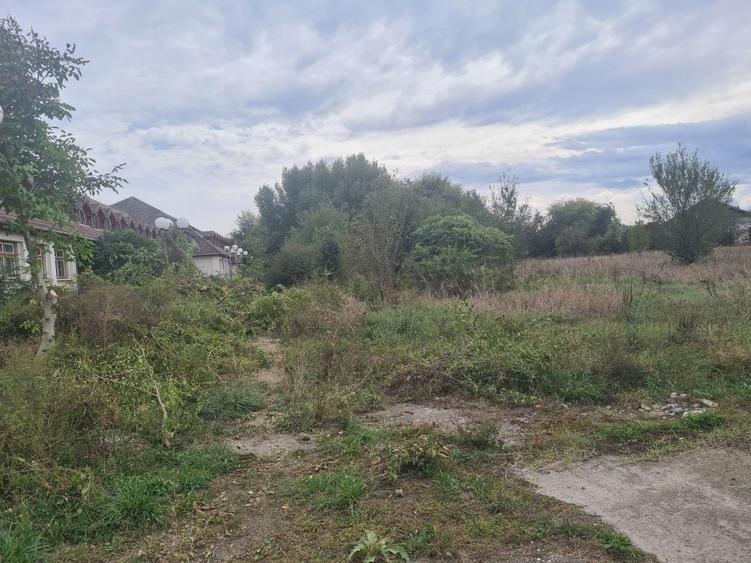 Spațiu comercial, în Băcia