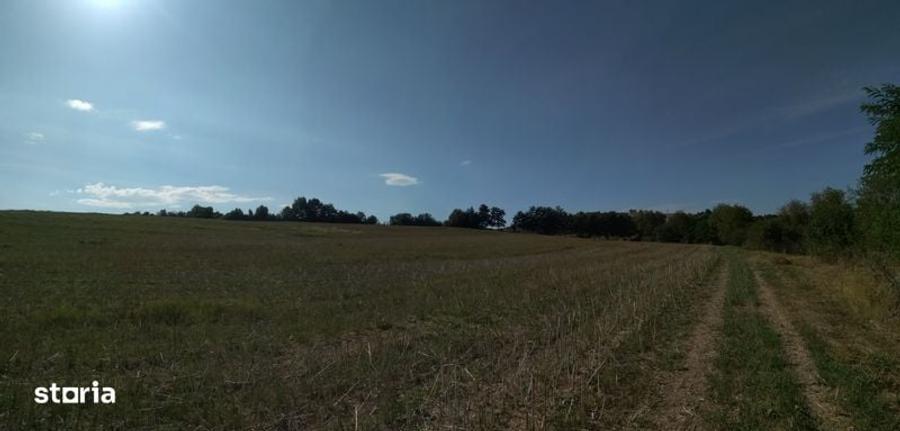Teren de 25375 mp, în Sângeorgiu de Mureș