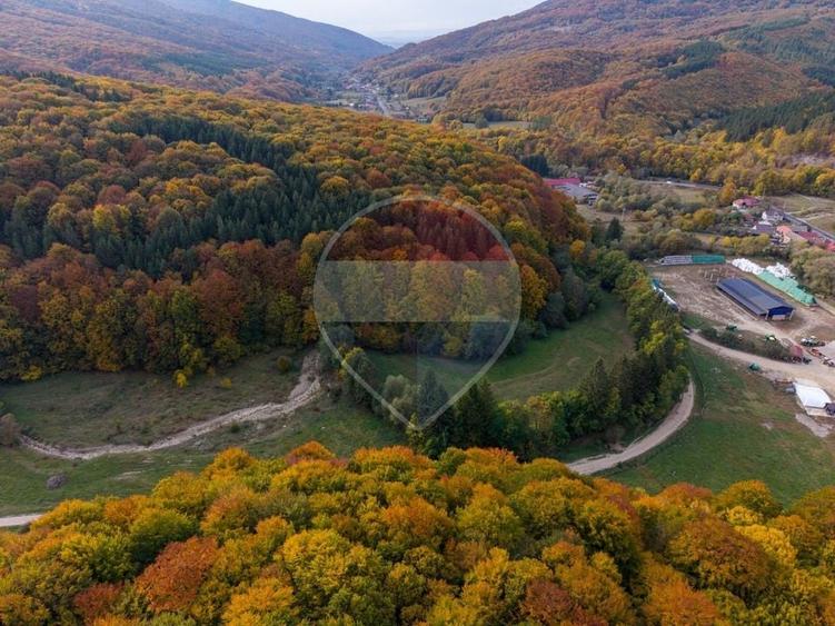 Teren agricol extravilan de 9540 mp, în Teliu