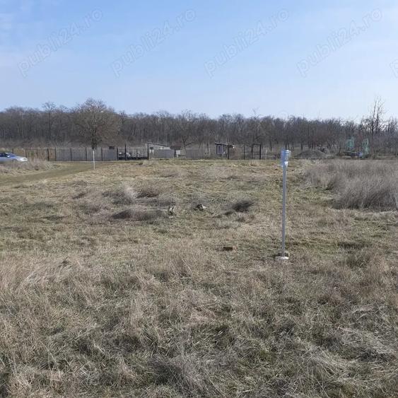 Vand teren intravilan 440mp padure Vladimirescu - 6