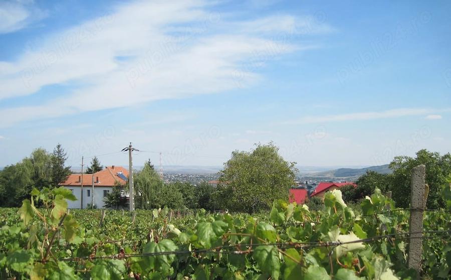 Teren de 4500 mp, în Central