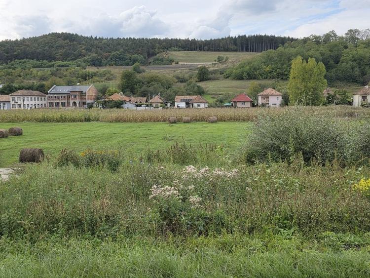 Teren Construcții intravilan de 1500 mp, în Sânpaul