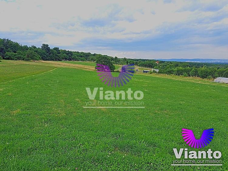 Teren agricol extravilan de 3100 mp, în Rășinari