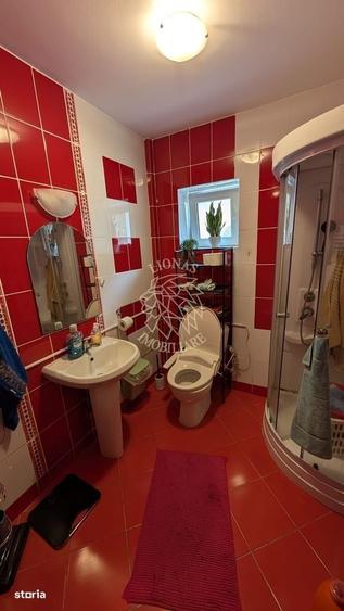 Apartament cu 3 camere în Domnești