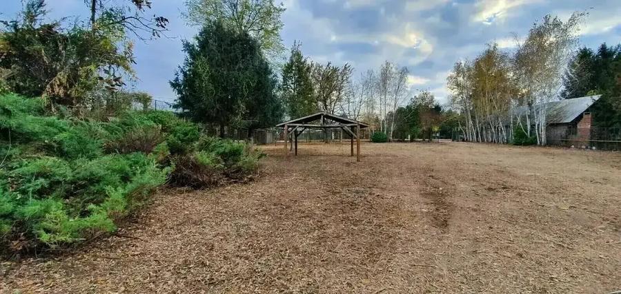 Vilă pe malul lacului, 6 camere, Snagov - 4