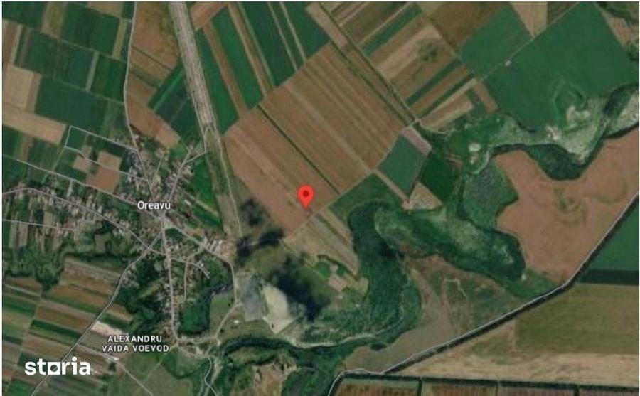 Teren de 7500 mp, în Vrancea