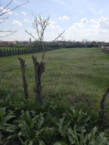 Teren de 1424 mp, în Hădăreni