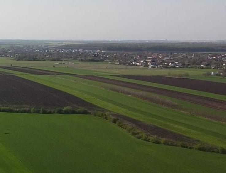 Teren Construcții intravilan de 5000 mp, în Moara Vlăsiei