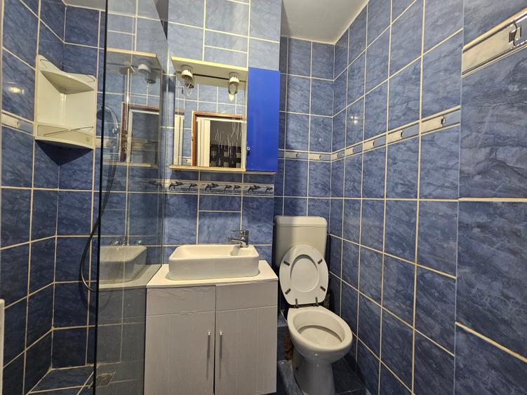 Apartament cu 2 camere semidecomandat în Șagului