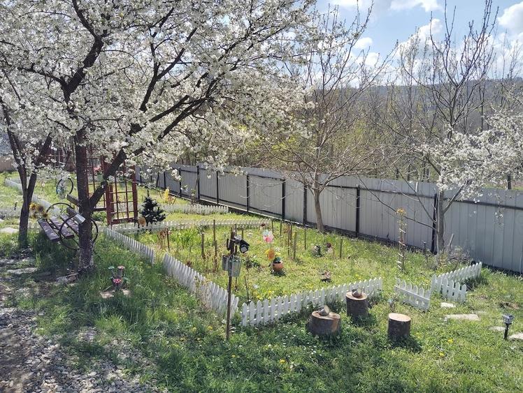 Casă cu 3 camere cu Teren 13000 Mp în Stănița