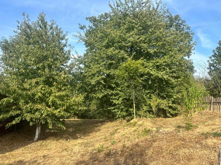 Teren de 1500 mp, în Potoc