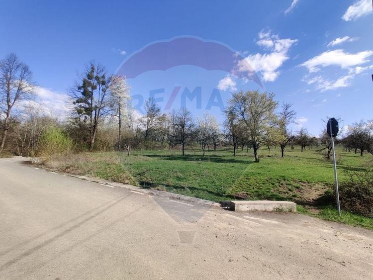Teren Construcții intravilan de 1646 mp, în Cărbunari