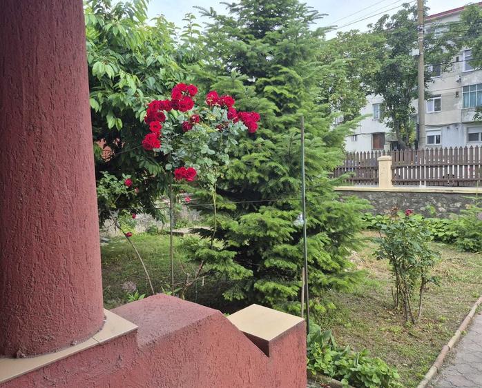 Casă cu 3 camere în Central