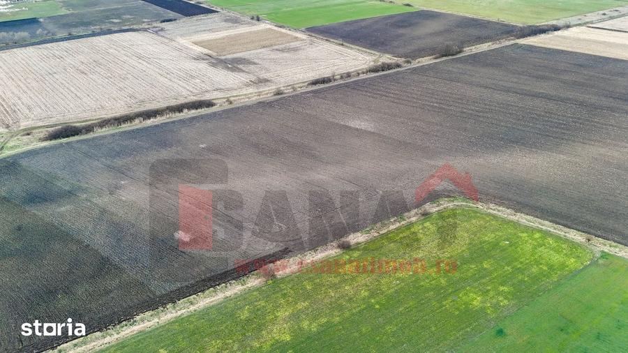Teren de 74000 mp, în Șura Mică