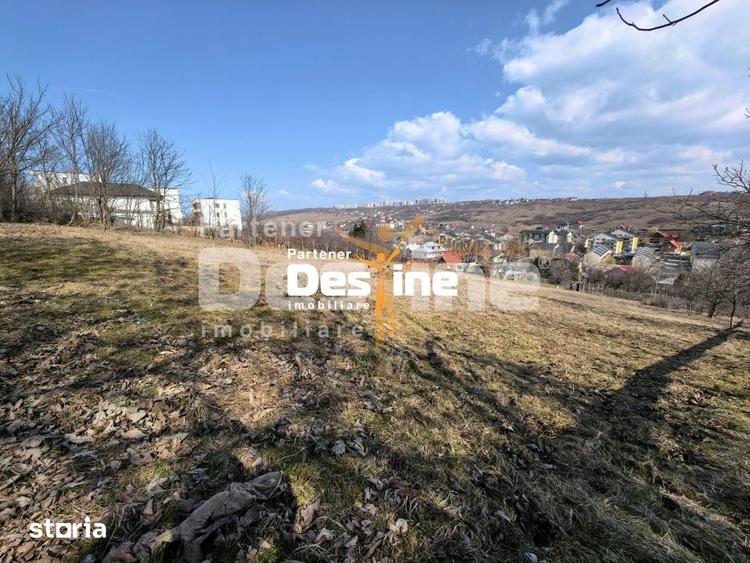 3000 mp teren intravilan, parcelat in 3 bucati Valea Lupului - 2