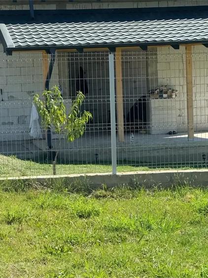 Casă cu 2 camere cu Teren 600 Mp în Central