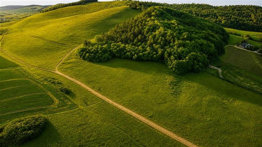 6.000 mp teren granitat de liziera compacta de padure, ecran natural de liniste, - 6