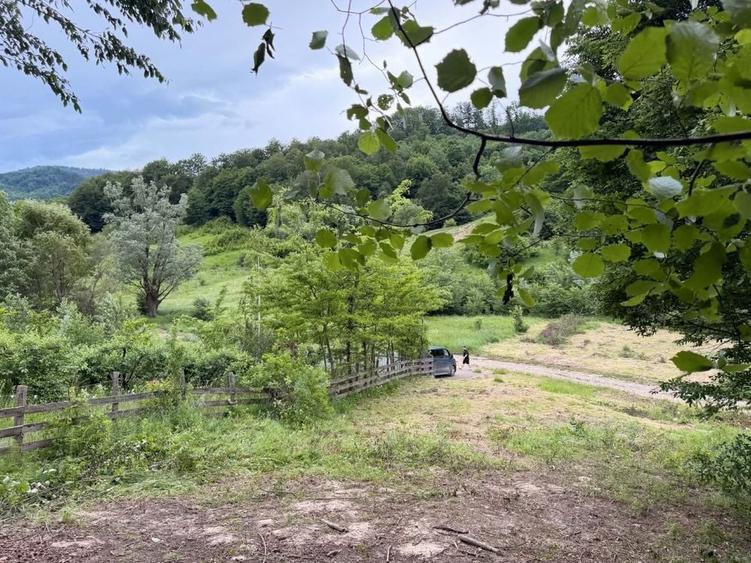 Teren de 3661 mp, în Vizantea Mănăstirească