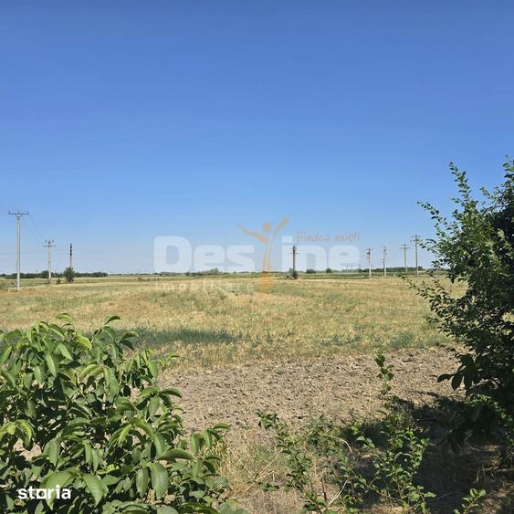 Teren de 5759 mp, în Modelu