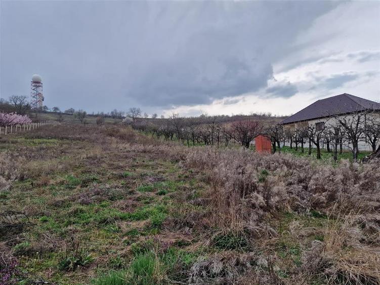 Teren intravilan de 498 mp, în Oncea