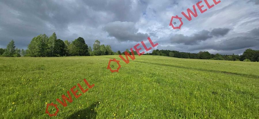 Teren agricol extravilan de 7940 mp, în Vama Buzăului