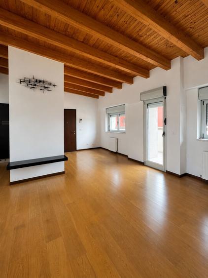 Penthouse cu 3 camere în Torontalului