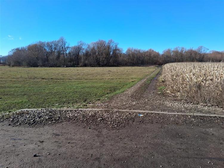 Teren intravilan de 14780 mp, în Grumăzești