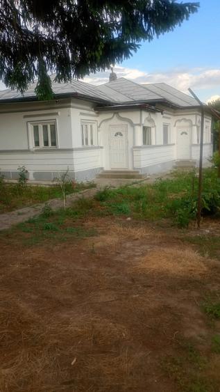 Casă cu 3 camere cu Teren 1400 Mp în Bolintin-Deal