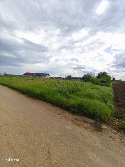 Vand teren intravilan sat Varasti- Giurgiu - 6