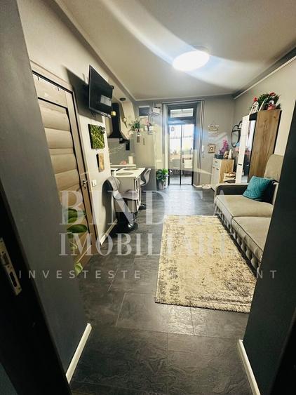 Apartament cu 2 camere semidecomandat în Take Ionescu