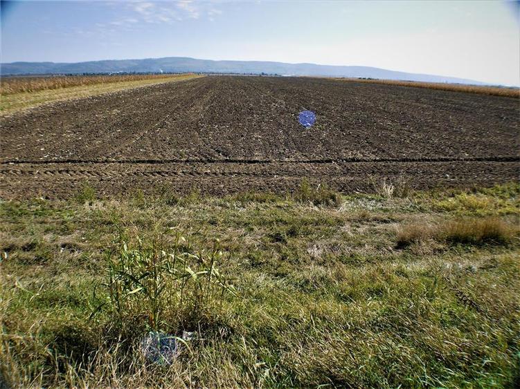 Teren intravilan de 1800 mp, în Nicolae Bălcescu