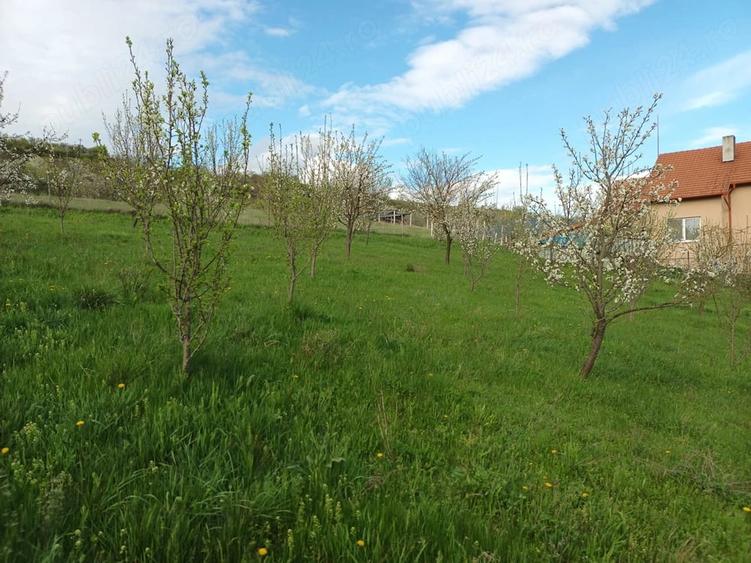 Teren de 1200 mp, în Central