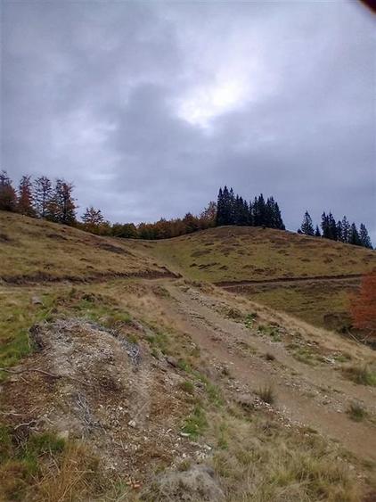 RECO Teren extravilan la Cresuia, Stana de Vale - 11