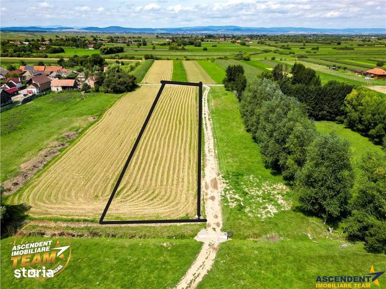 Teren de 2900 mp, în Dobârlău