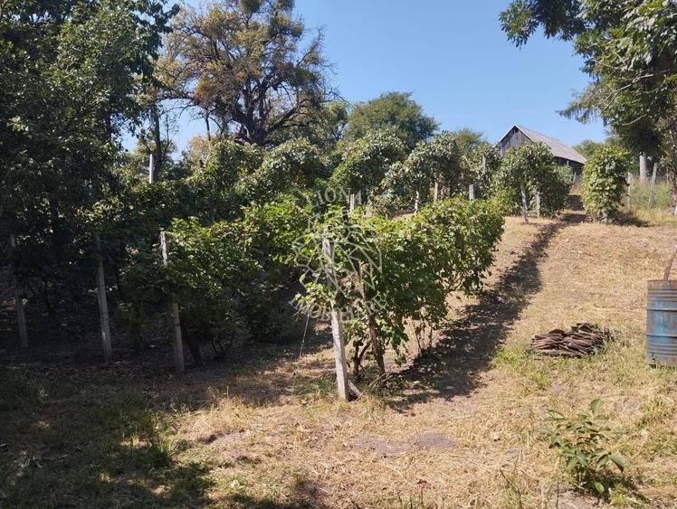 Teren Construcții intravilan de 2828 mp, în Dorolea