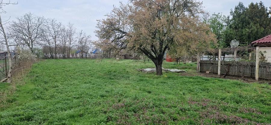 Casă cu 5 camere cu Teren 2200 Mp în Zăvoaia