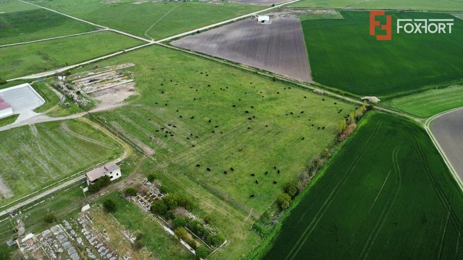 Teren Construcții intravilan de 58340 mp, în Peciu Nou