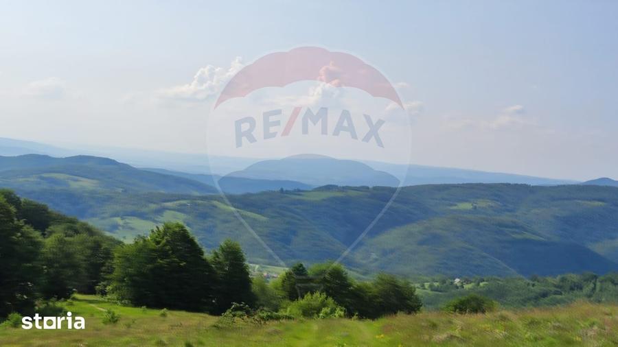 Teren de 128948 mp, în Negreni