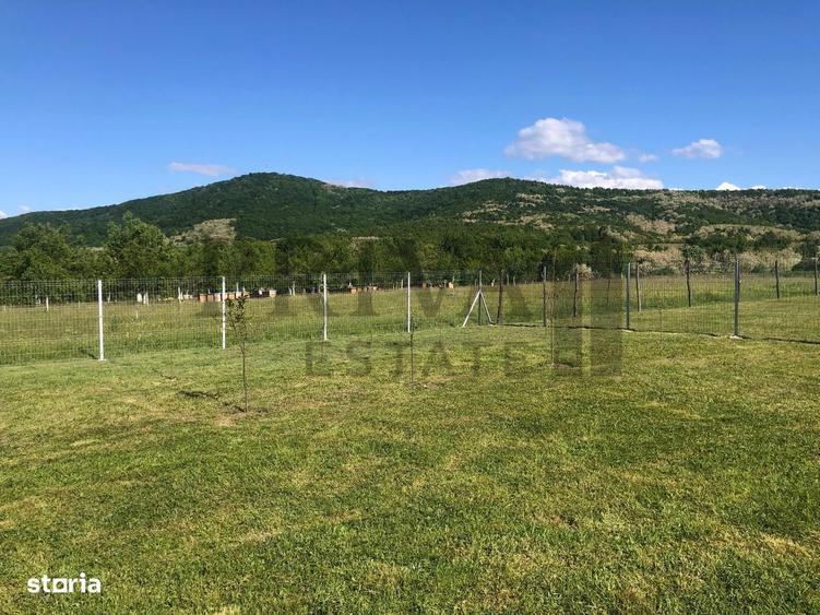 Teren de 800 mp, în Birda
