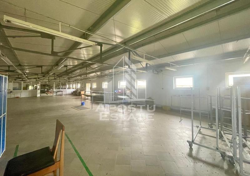 Spațiu industrial, de 1,680 mp, în Prunișor