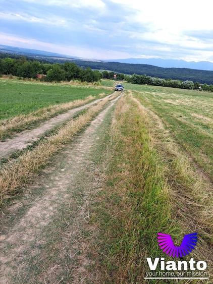 Teren agricol extravilan de 6200 mp, în Rășinari