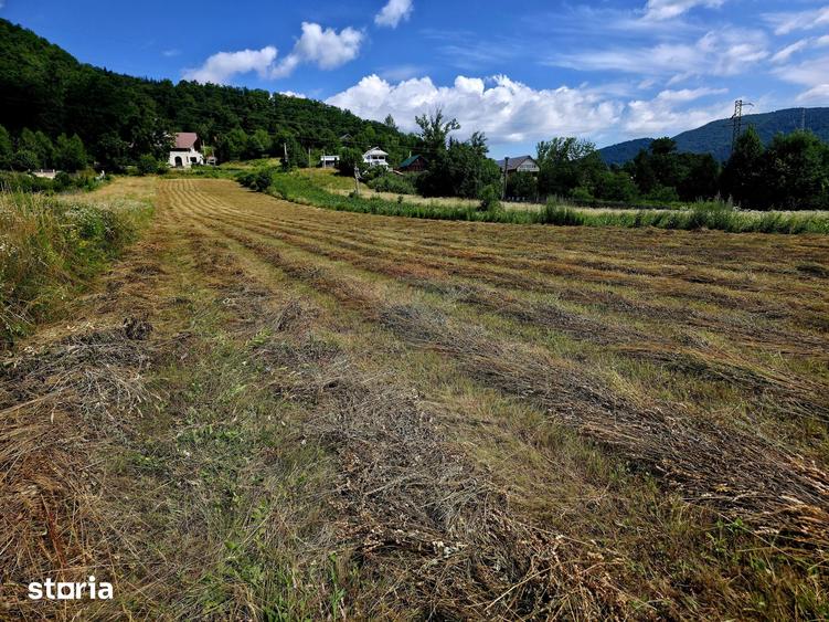Teren de 600 mp, în Alexandru cel Bun