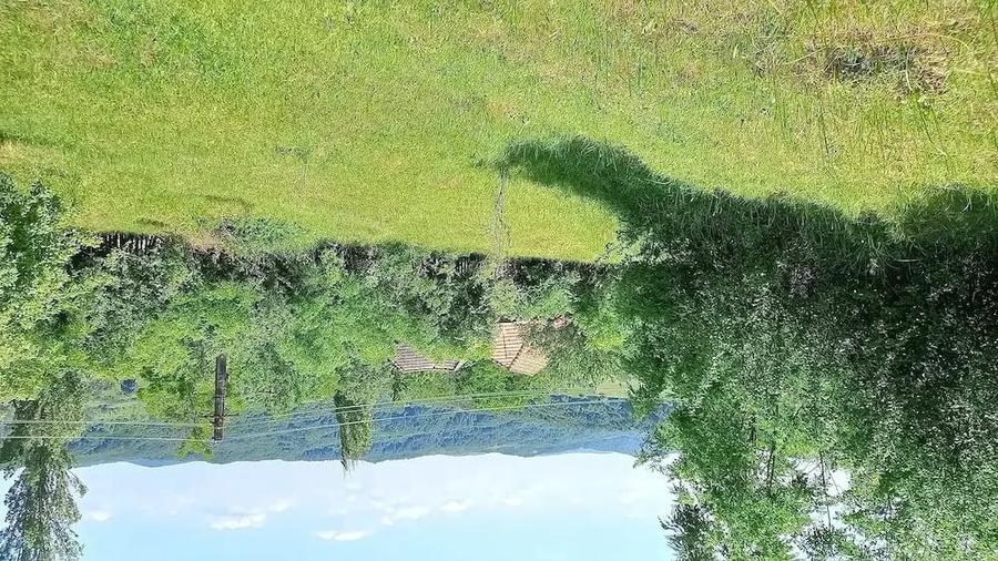 Teren de 1700 mp, în Dianu