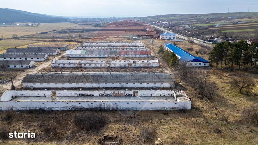 Teren de 39600 mp, în Traian