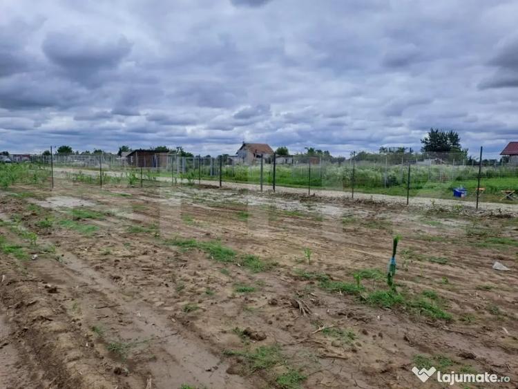 Teren de 2400 mp, în Careiului