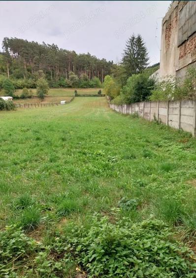 Casă cu 6 camere în Central